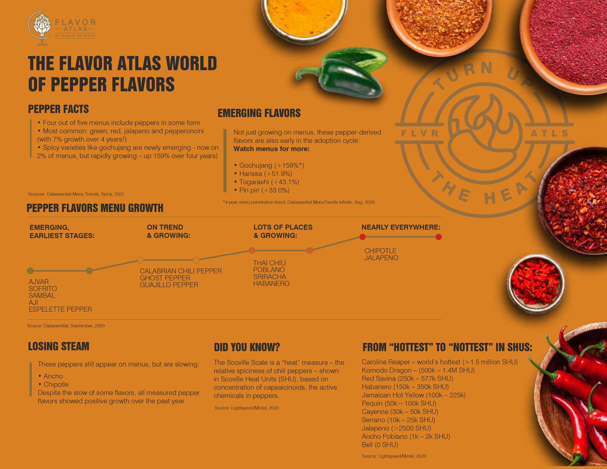 Flavor Atlas infogrpahic about peppers image